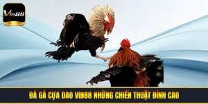 Đá Gà VIN88 - Đấu Trường Trực Tuyến Uy Tín Nhất 2026