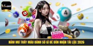 Blog Game VIN88 | Bí Quyết Chinh Phục Mọi Kèo Cược 2026